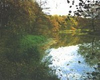 Herbst an der Aller in Daverden