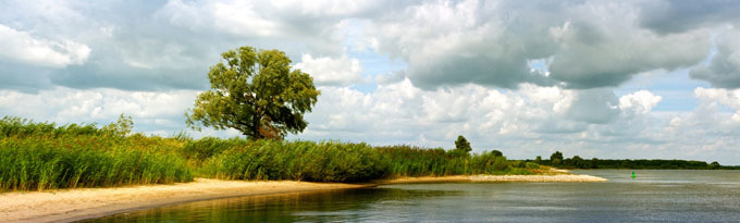 An der Elbe bei Bleckede