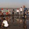 Seminar im Wattenmeer